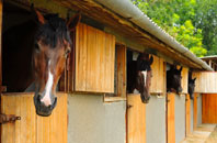 free Pentowin stable construction quotes
